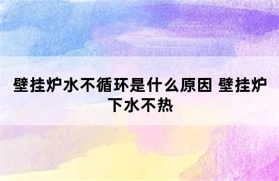 壁挂炉水不循环是什么原因 壁挂炉下水不热